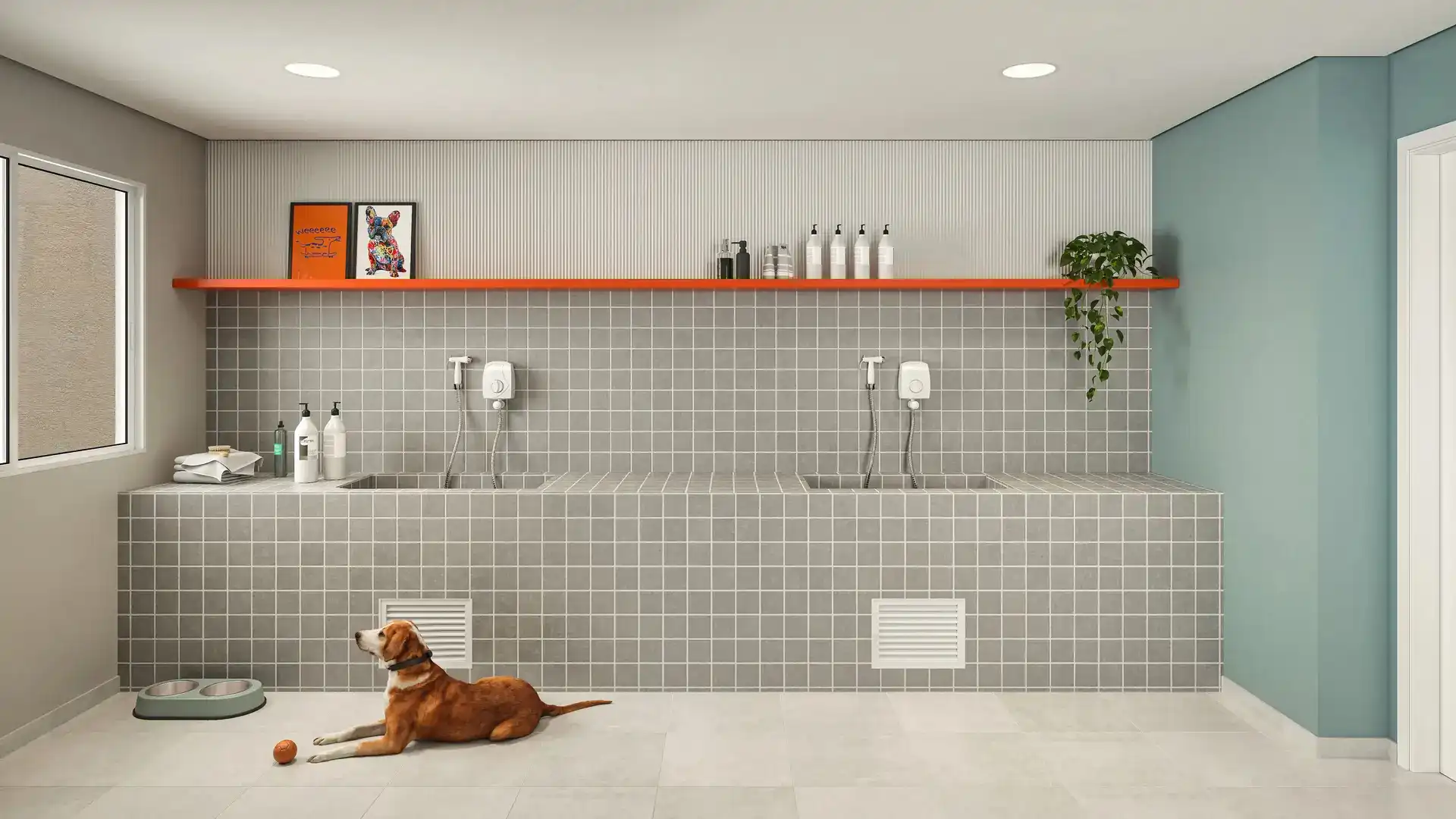 Espaço pet (Pet Care + Pet Place)